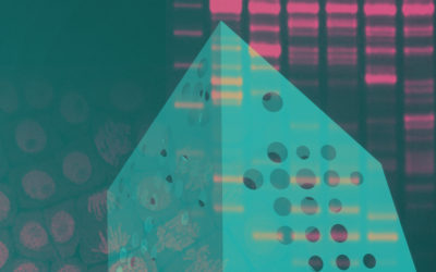 SYDNEY FIREHOUSE: THE PEOPLE’S CHOICE STORY